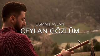 Osman Aslan Ceylan Gözlüm Resimi