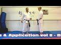 Bassai dai bunkai strategies 2024 week 19 koryu karate oyo jutsu