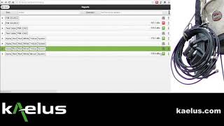 iPA Reporting via web browser