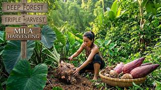 Living Off The Grid: Harvesting Wild Vegetables &amp; Traditional Market Life | 90 Mins Full Movie #2