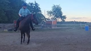Trot the barrel pattern with Bean