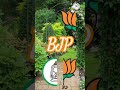 🧡🧡BJP VS RJP matching video #trending #shortsfeed #shorts #BJP #youtube #youtubeshorts #vfxshorts
