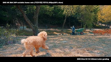 Panasonic GH5 MOV 4K 8bit 100M 24P -variable frame rate 60fps slow 40%