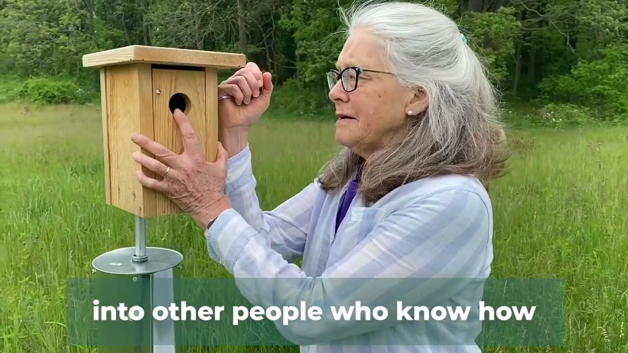 Learn About Cavity-nesting Birds