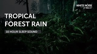 Tropical Forest Rain - 10 Hours Sleep Sound - Black Screen