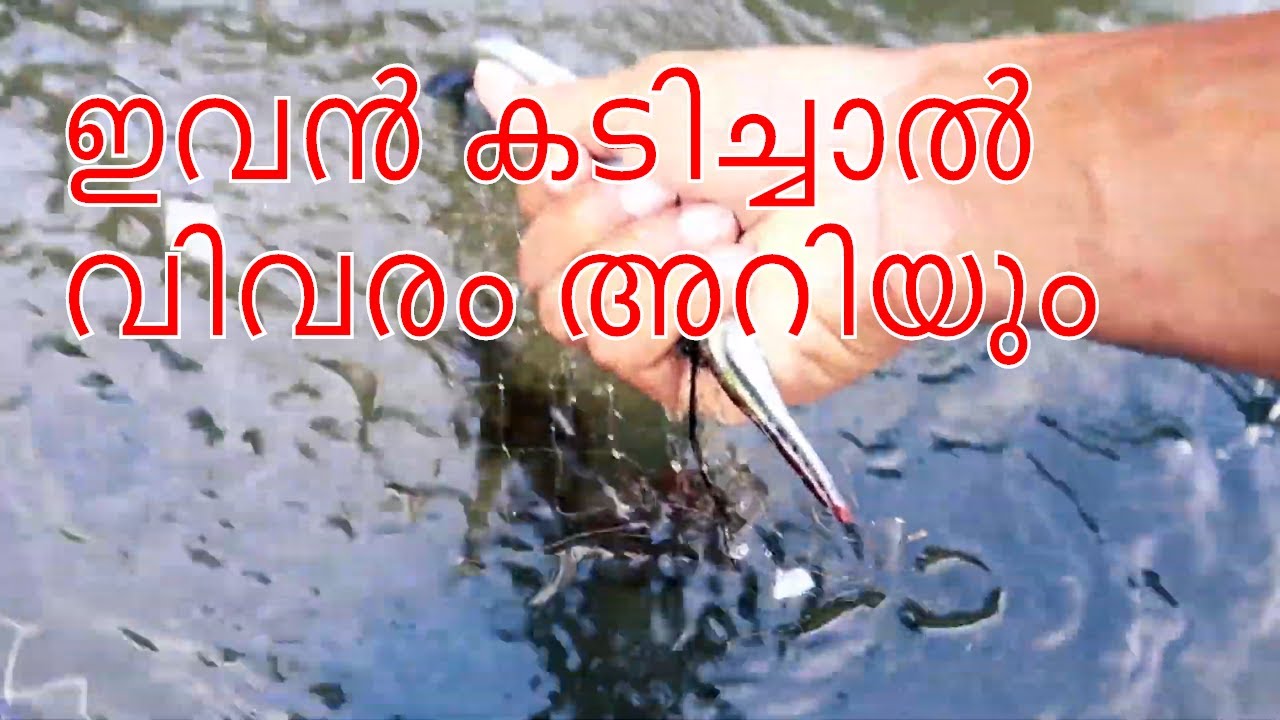 രാത്രി മീൻ പിടുത്തം Malayalam Fishing Malayalam Fishing videos