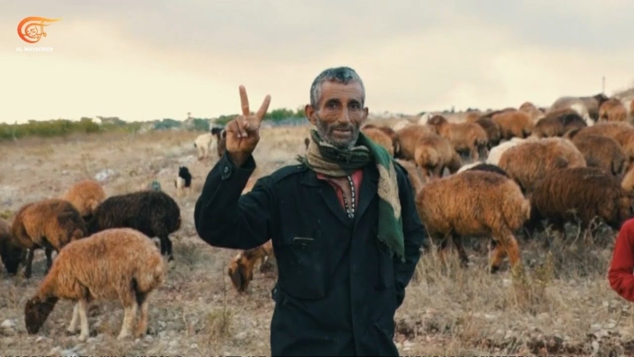 رعاة الماشية عند الحدود مع فلسطين المحتلة يواصلون عملهم رغم الاعتداءات الاسرائيلية