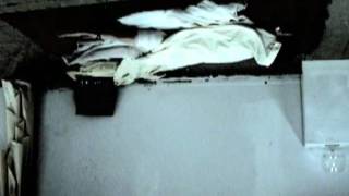 Collecting Madness P.7