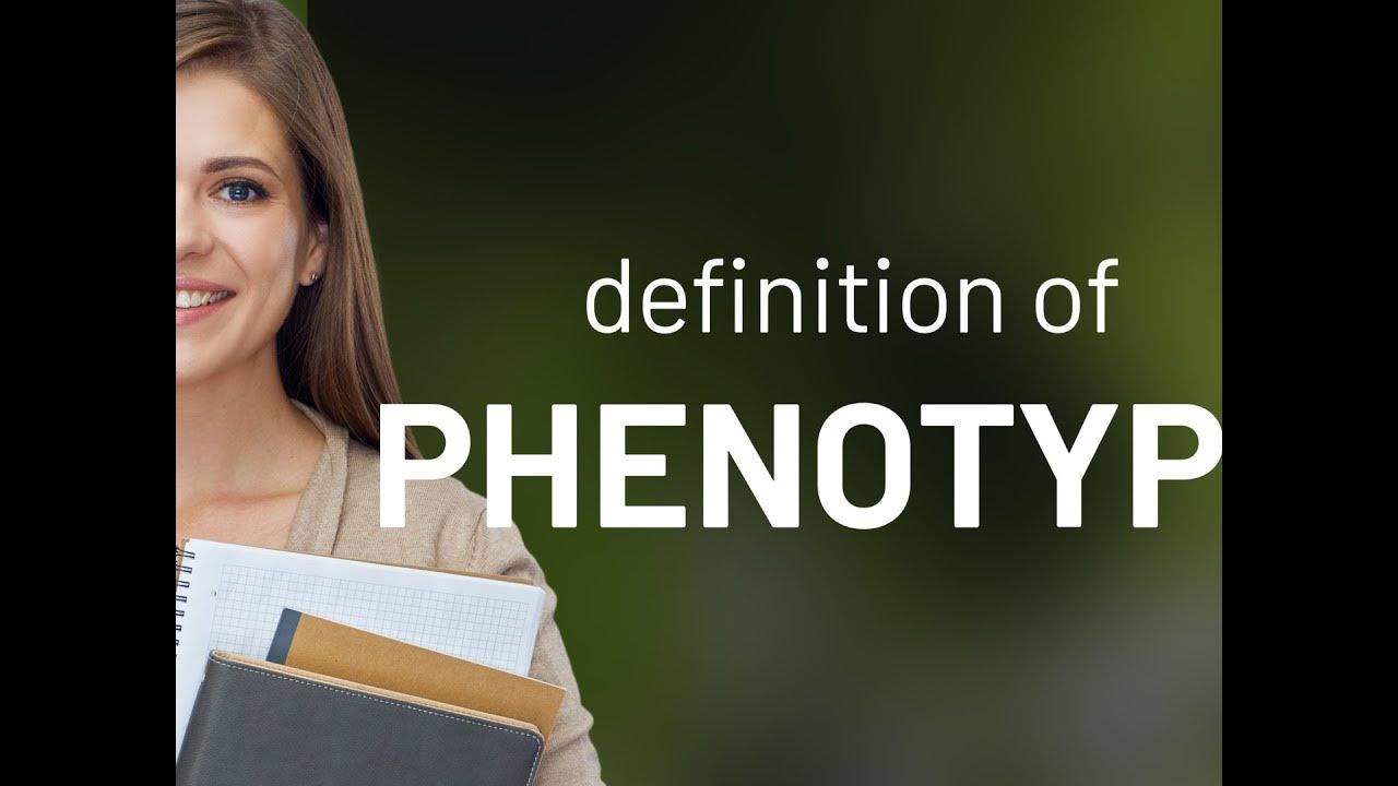 Phenotype Definition Of PHENOTYPE YouTube phenotype-definition-of-phenotype-youtube