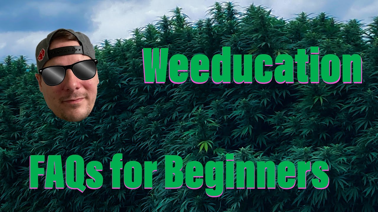 Ask a budtender - FAQs for Beginners!