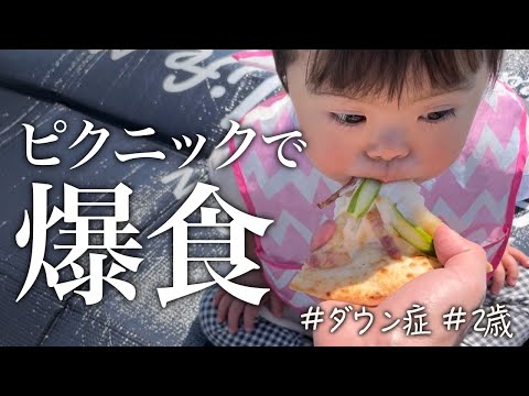 育ち盛り!?ピクニックで爆食する娘。【ダウン症2才6ヶ月