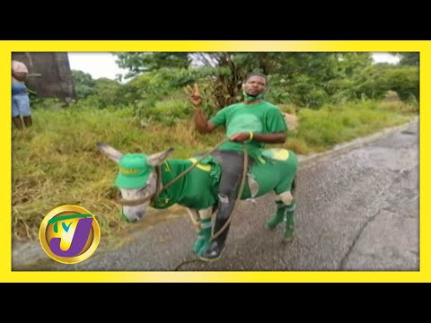 Election Day Outfits: TVJ Smile Jamaica