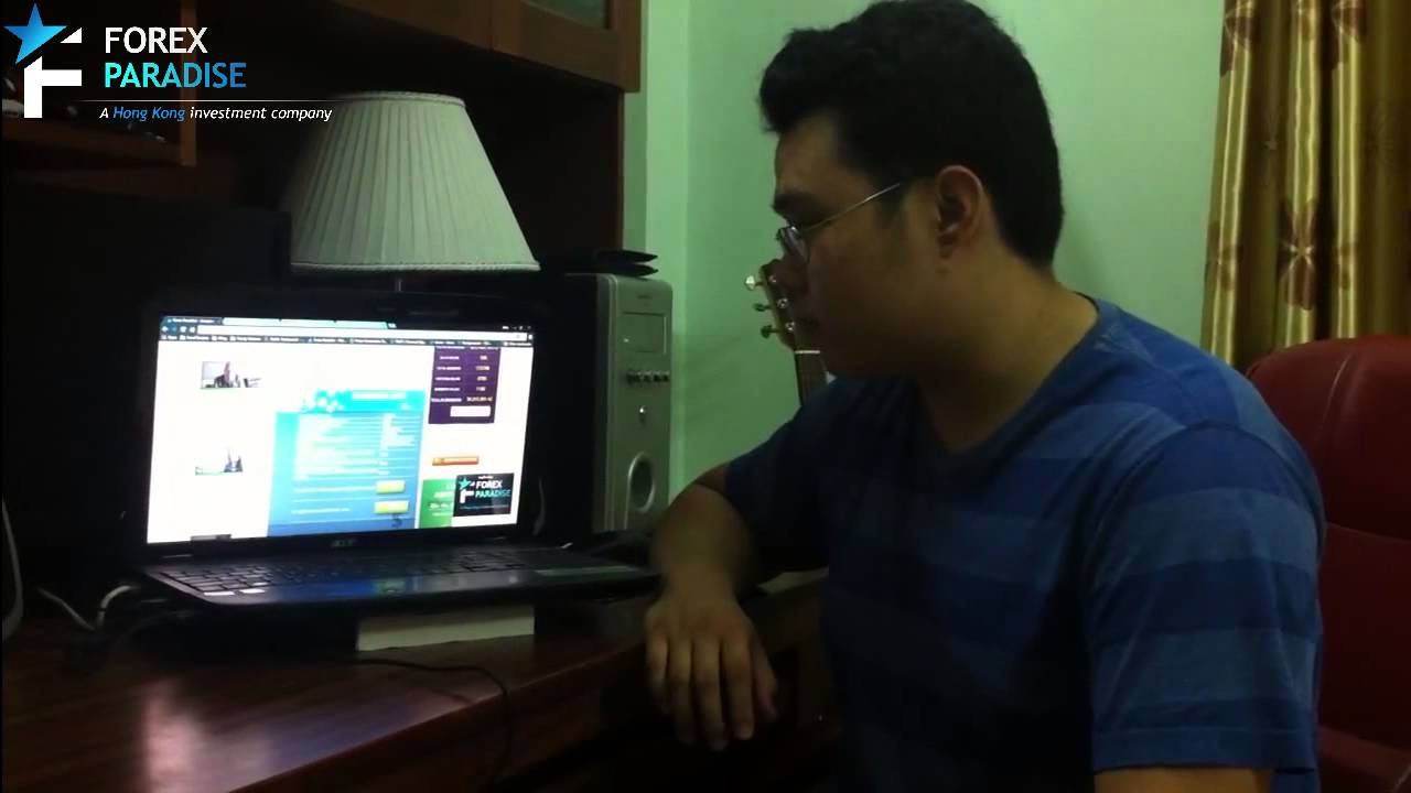 Forex paradise biz