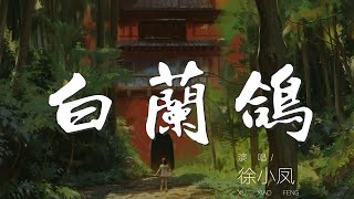 Video thumbnail of "白蘭鴿 - 徐小鳳『Oh una paloma blanca』【動態歌詞Lyrics】"