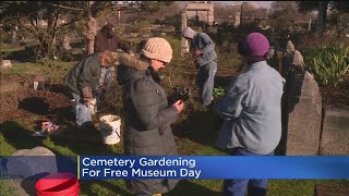 Gardening Enthusiasts Volunteer To Help Clean Up Sacramento's City Cemetery Historic Rose Garden