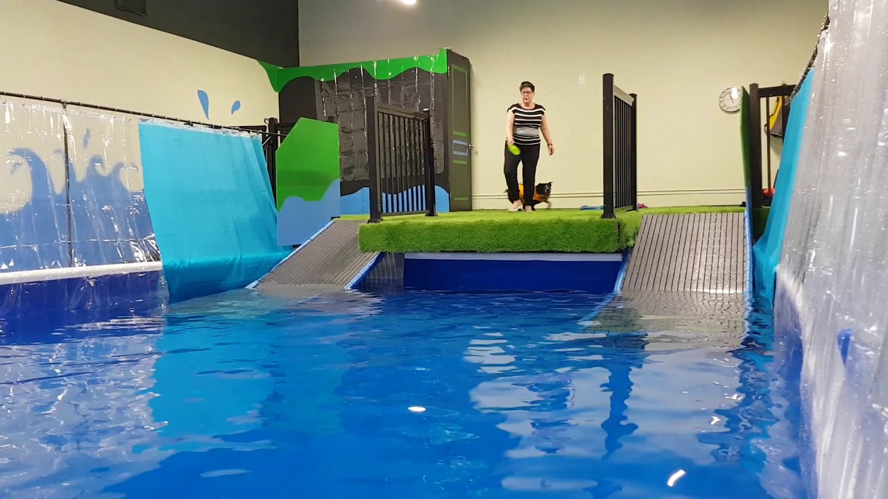 Second week of our soft launch. Oliver is at the pool again! YouTube