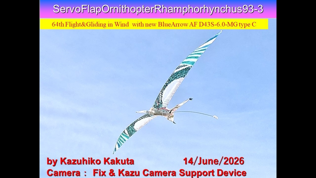 サーボ駆動翼竜型羽ばたき機 SFORhamphorhynchus93-3 30g : 64th