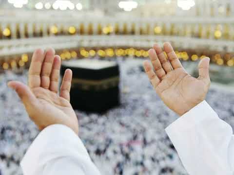فاطمة عيد رايحة فين يا حاجة