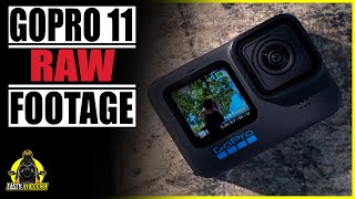 GoPro 11 RAW FOOTAGE - FASTY UPDATE & STUNNING ROADS | #FastyRides #chooselife