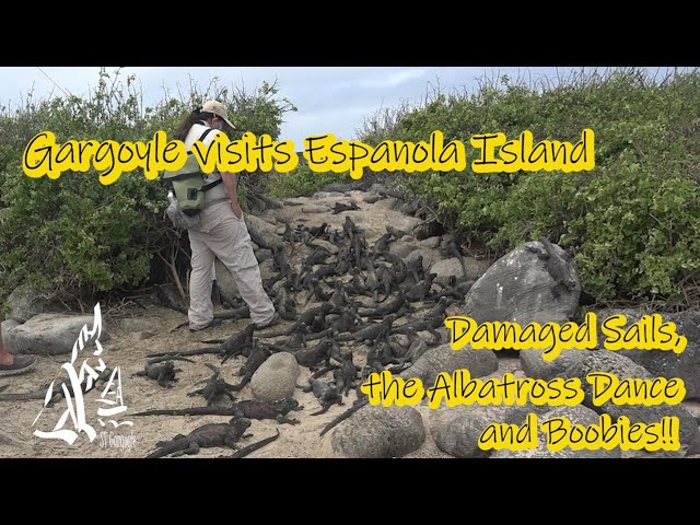 We're Going to the Birds - Gargoyle Explores Española Island Galápagos Ep. 32