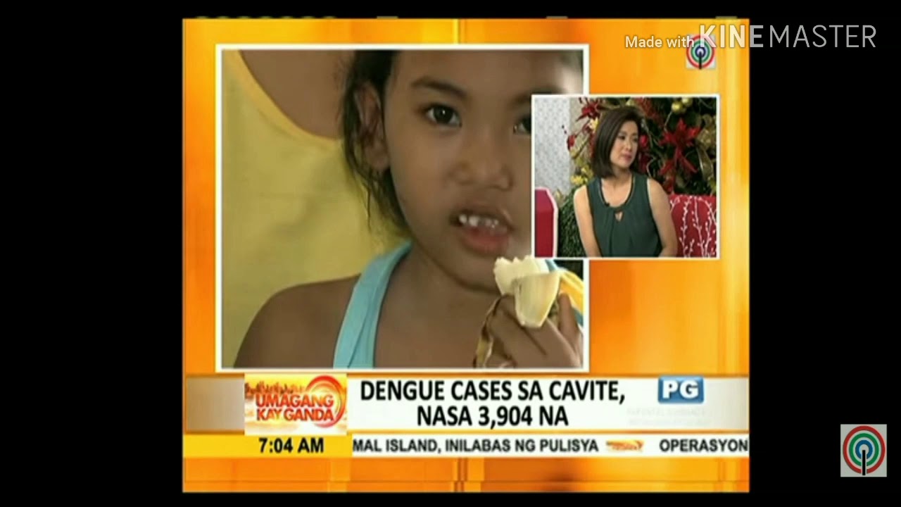 Paano Maiiwasan Ang Aborsyon Paano maiiwasan ang Dengue 🦟🦟🦟 - YouTube