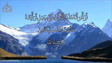 سورة النساء من الأية 148 - 176 - الشيخ محمد القلاوى