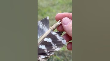How to make primitive arrows, part 1 #archery #survival #camping #outdoors #hunting #bushcraft