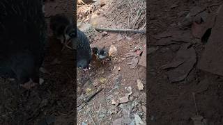 അന്നും ഇന്നും....