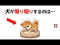 犬の不思議な行動の雑学｜飼い主を驚かせる行動の裏に隠された真実、知れば愛犬がもっと愛おしくなる！