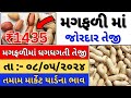 મગફળીનાં ભાવમાં જોરદાર તેજી | magfali na bhav | 08-05-2024 | મગફળી ના ભાવ | આજના બજાર ભાવ