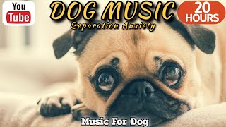 20 HOURS of Dog Calming Music🐶💖Dog Music Relax🦮🎵Anti Separation Anxiety Relief Music⭐Healingmate