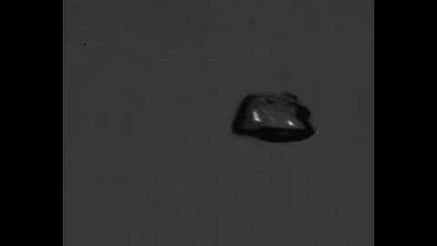 Sam Phillips: The oscillating bubble behind the “plink” sound produced by a dripping tap