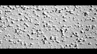 How To Remove a Popcorn Ceiling That Has Been Painted