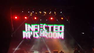 Infected Mushroom - Live in Moscow 26.11.2017 RED CLUB