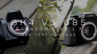 G85 vs. GH4 60p Blind Test // Panasonic Lumix 25 1.7 // Neighborhood Streets