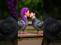 Jinu and Rumi KISS | K-pop Demon Hunters Pigeons #kpop #rumi #jinu