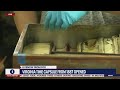 Virginia 1887 time capsule just opened heres whats inside  livenow from fox