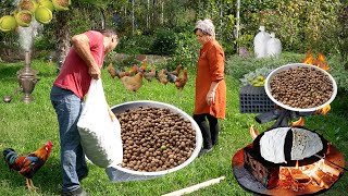 Harvesting Walnut from Forest | Sweets and Food Recipes with Walnut of Azerbaijani Cuisine