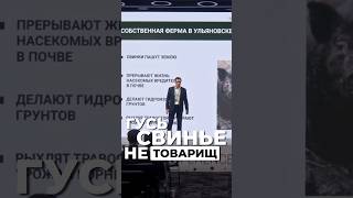 «Гусь свинье не товарищ» – с точки зрения фермы это огромное заблуждение. Опыт Ринальдо Маллямова