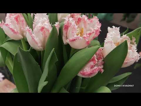 Video: Kako Napraviti Prekrasno Cvijeće