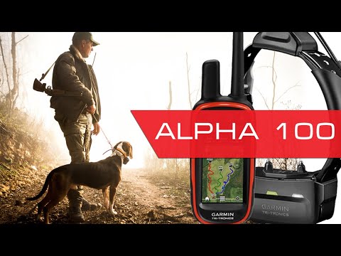 Радиоошейник для охоты Garmin Alpha 100 - реальный тест дальности