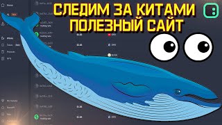 Как отслеживать покупки китов в криптовалюте | следим за кошельками КИТОВ #криптовалюта