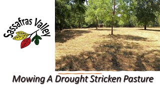 Mowing a Drought Stricken Pasture