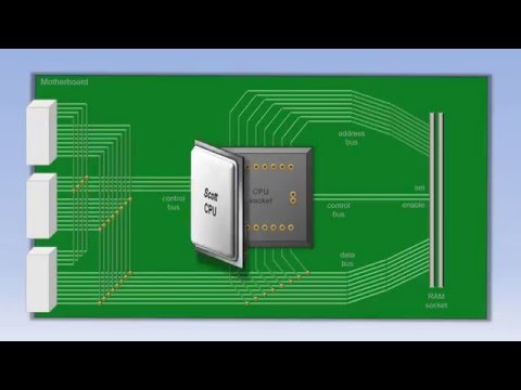 Videó: Hogyan állapítható Meg, Hogy A Processzor Működik-e?