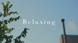 Relaxing Guitar Playlist Instrumental Music 1 Hour