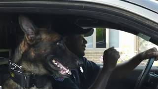 Boone, NC Police Department Lip Sync