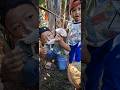Menemukan Jamur Tiram Liar Raksasa di Hutan!
