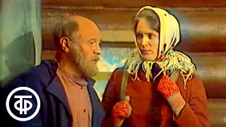 Сибирь. Исторический сериал. Серия 5. Встреча (1976)