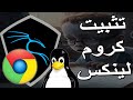 شرح طريقة تثبيت جوجل كروم على كالي لينكس  How to install Google chrome on Kali Linux 2024