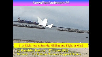 サーボ制御羽ばたき機 滑空　ServoFlapOrnithopter86　:11th  Flight Test Gliding and Flight in Wind